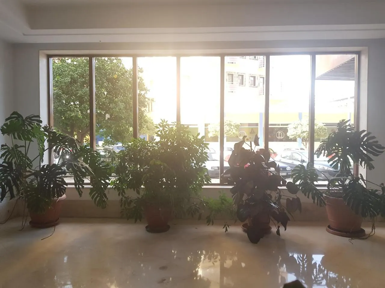 Apartment Apartamentos Costa Beach